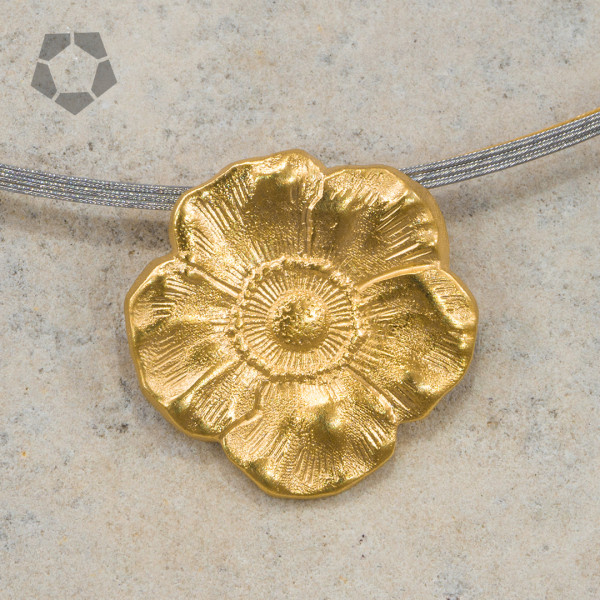 Artikelbild 1 des Artikels Hildesheimer Rose